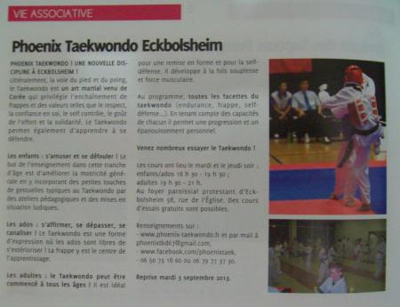 Eckbolaison taekwondo 1