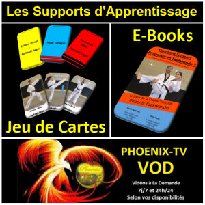 PHOENIX TV VOD CHAINE YOUTUBE CEINTURE NOIRE TAEKWONDO