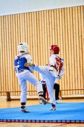 Phoenix cup asptt strasbourg taekwondo 82