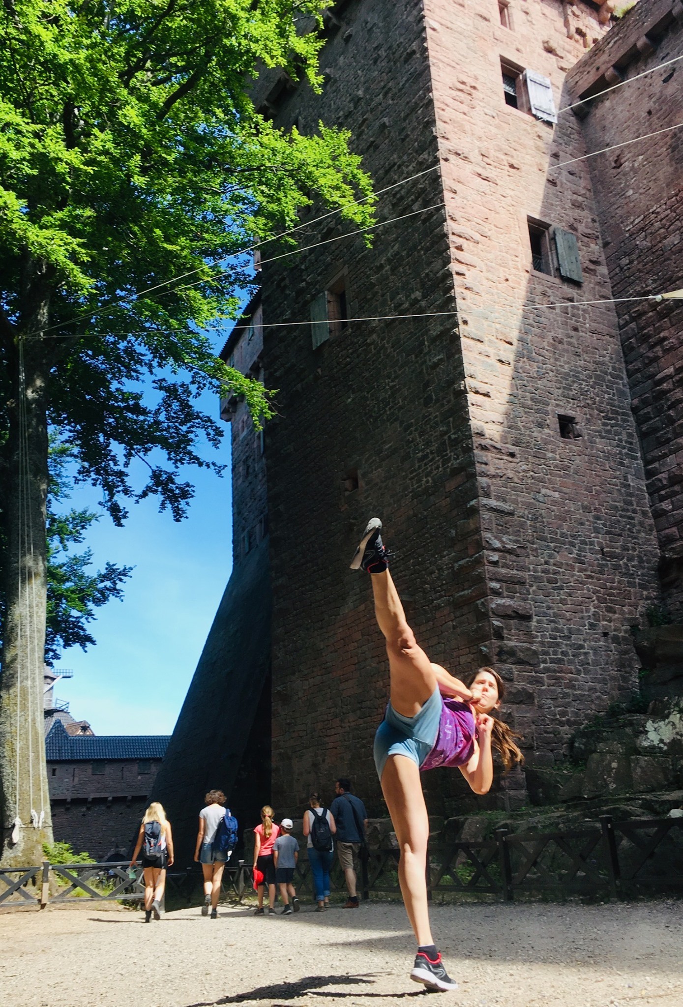 Haut koenigsbourg 1