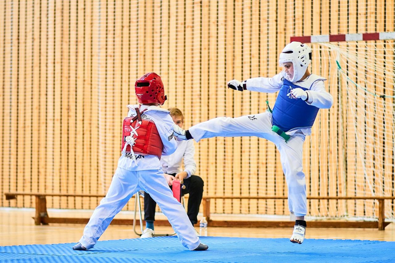 PHOENIX CUP ASPTT STRASBOURG TAEKWONDO (100)