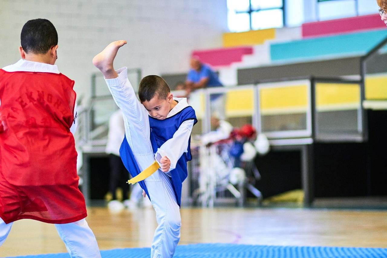 PHOENIX CUP ASPTT STRASBOURG TAEKWONDO (101)