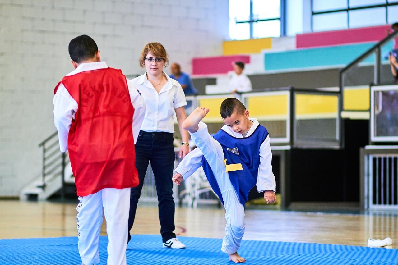 PHOENIX CUP ASPTT STRASBOURG TAEKWONDO (103)