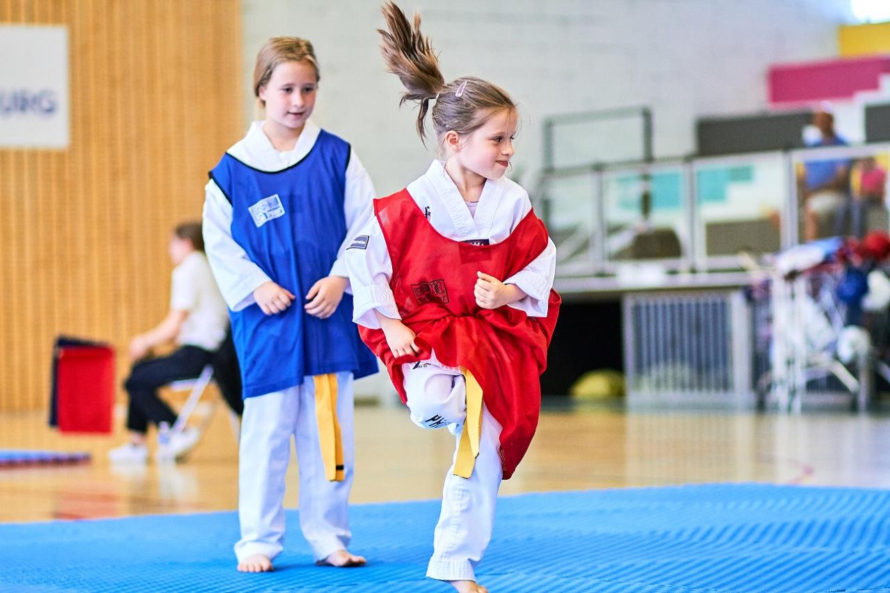 PHOENIX CUP ASPTT STRASBOURG TAEKWONDO (110)