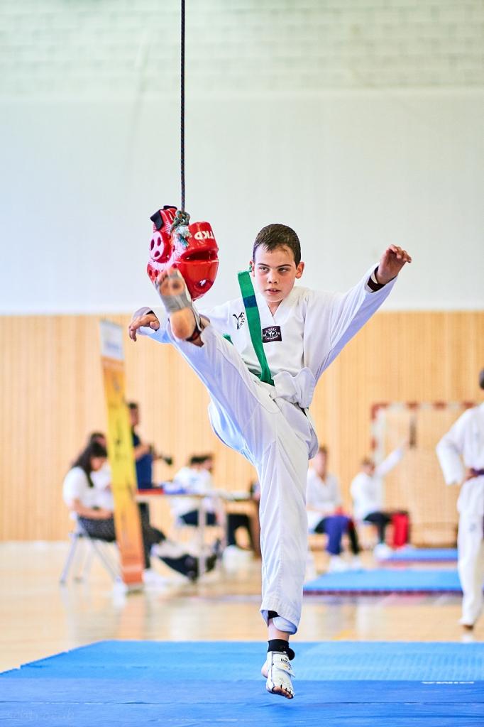 PHOENIX CUP ASPTT STRASBOURG TAEKWONDO (127)