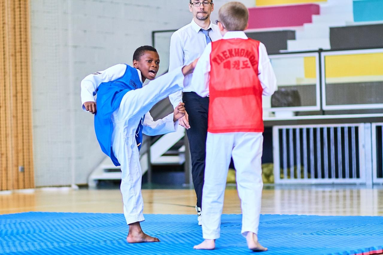 PHOENIX CUP ASPTT STRASBOURG TAEKWONDO (140)