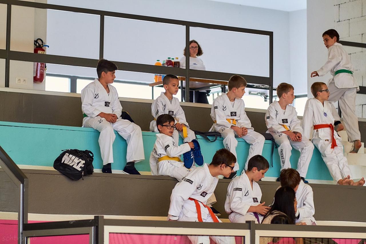 PHOENIX CUP ASPTT STRASBOURG TAEKWONDO (16)