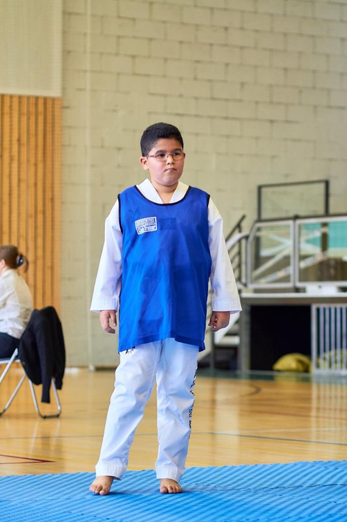 PHOENIX CUP ASPTT STRASBOURG TAEKWONDO (19)