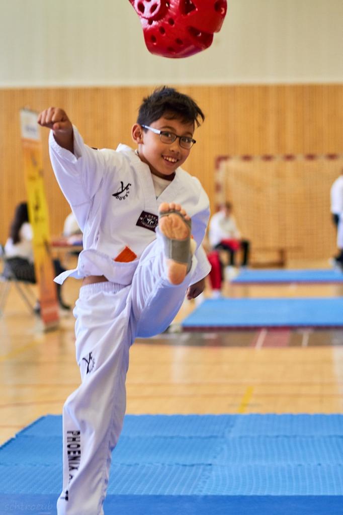 PHOENIX CUP ASPTT STRASBOURG TAEKWONDO (21)