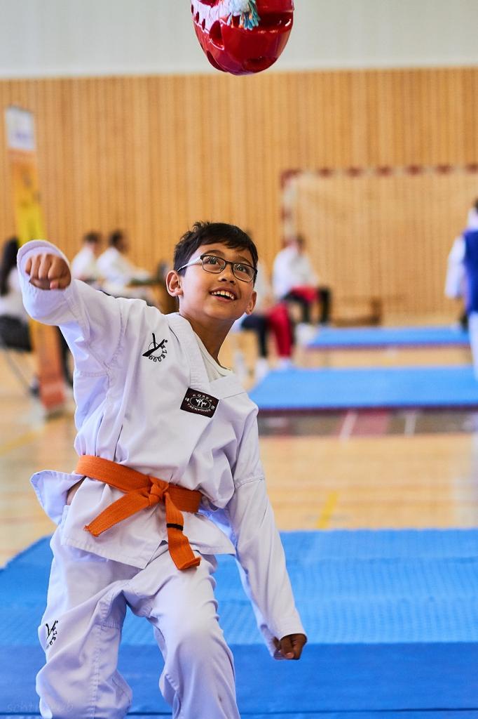 PHOENIX CUP ASPTT STRASBOURG TAEKWONDO (22)