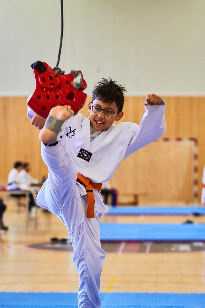 PHOENIX CUP ASPTT STRASBOURG TAEKWONDO (23)