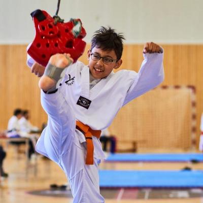 PHOENIX CUP ASPTT STRASBOURG TAEKWONDO (23)