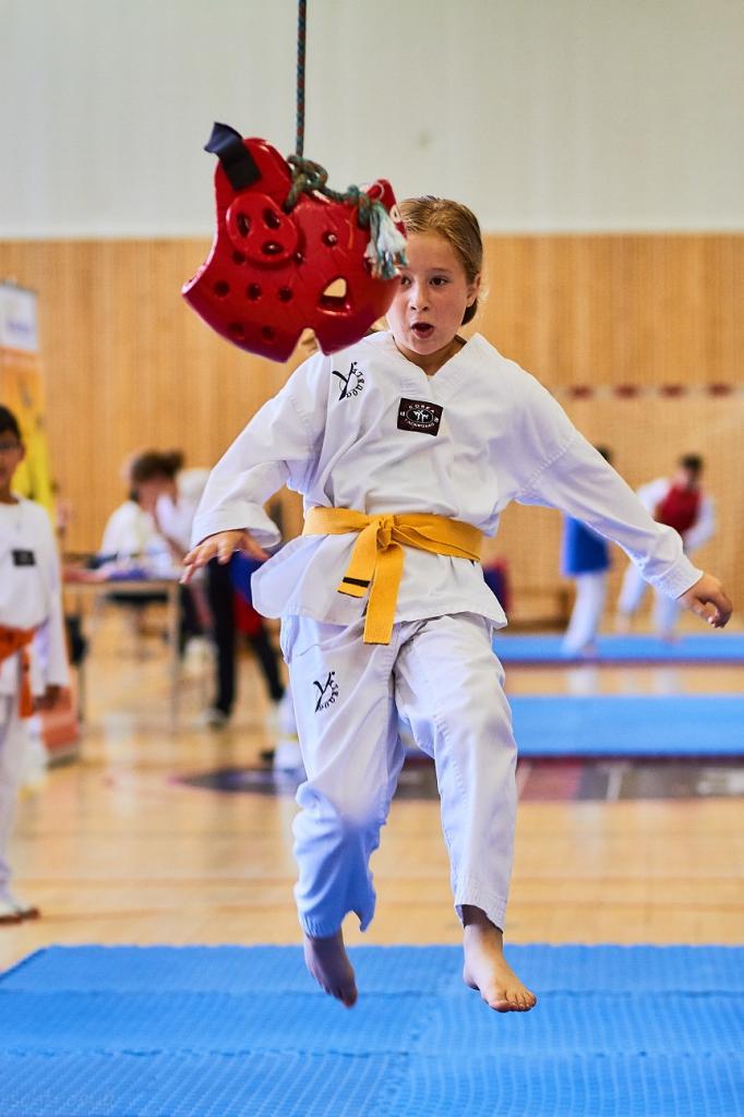 PHOENIX CUP ASPTT STRASBOURG TAEKWONDO (24)