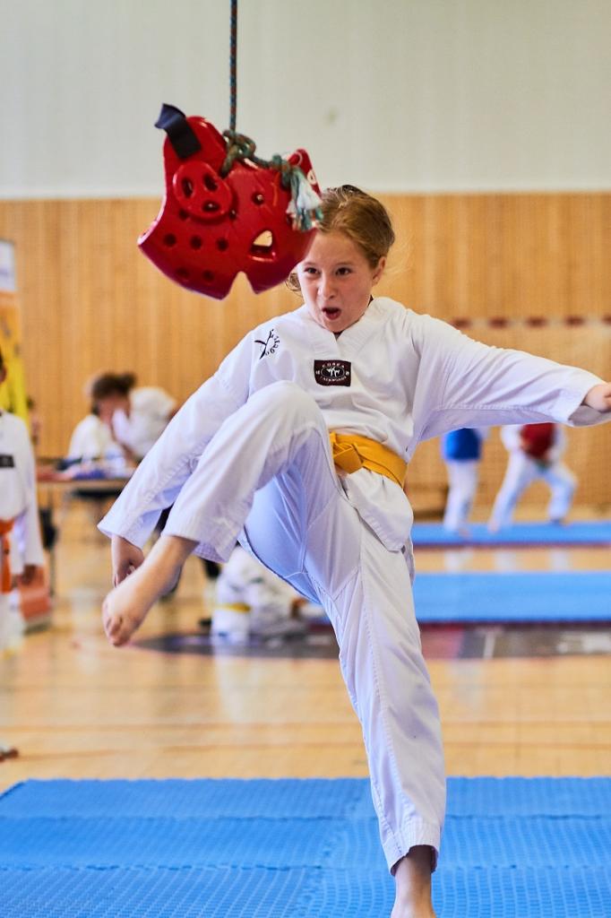 PHOENIX CUP ASPTT STRASBOURG TAEKWONDO (25)