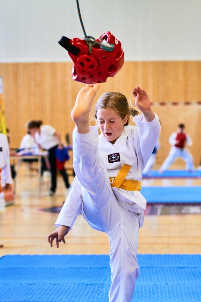 PHOENIX CUP ASPTT STRASBOURG TAEKWONDO (26)