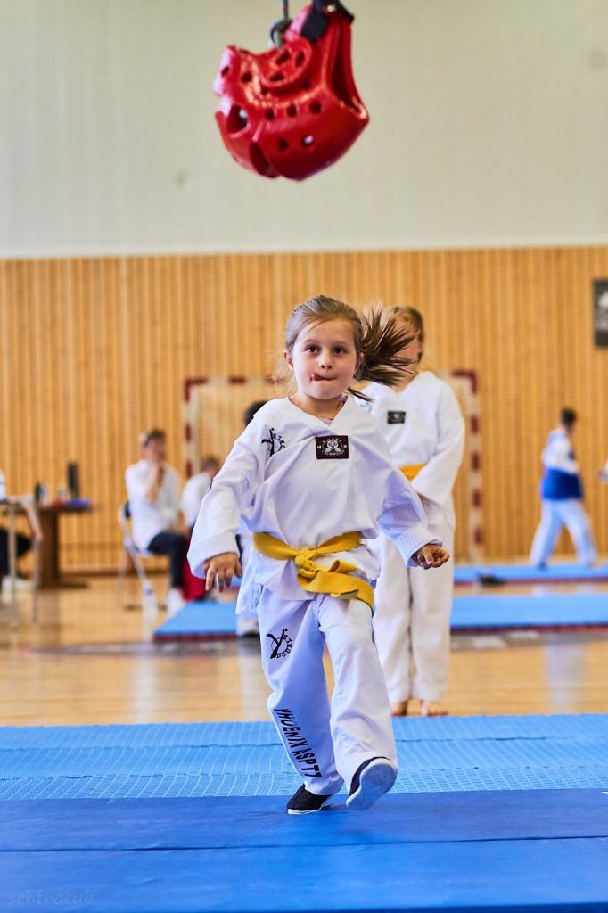 PHOENIX CUP ASPTT STRASBOURG TAEKWONDO (27)