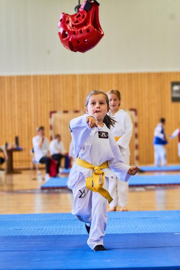 PHOENIX CUP ASPTT STRASBOURG TAEKWONDO (28)