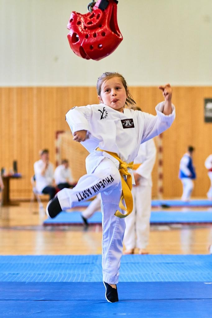 PHOENIX CUP ASPTT STRASBOURG TAEKWONDO (29)