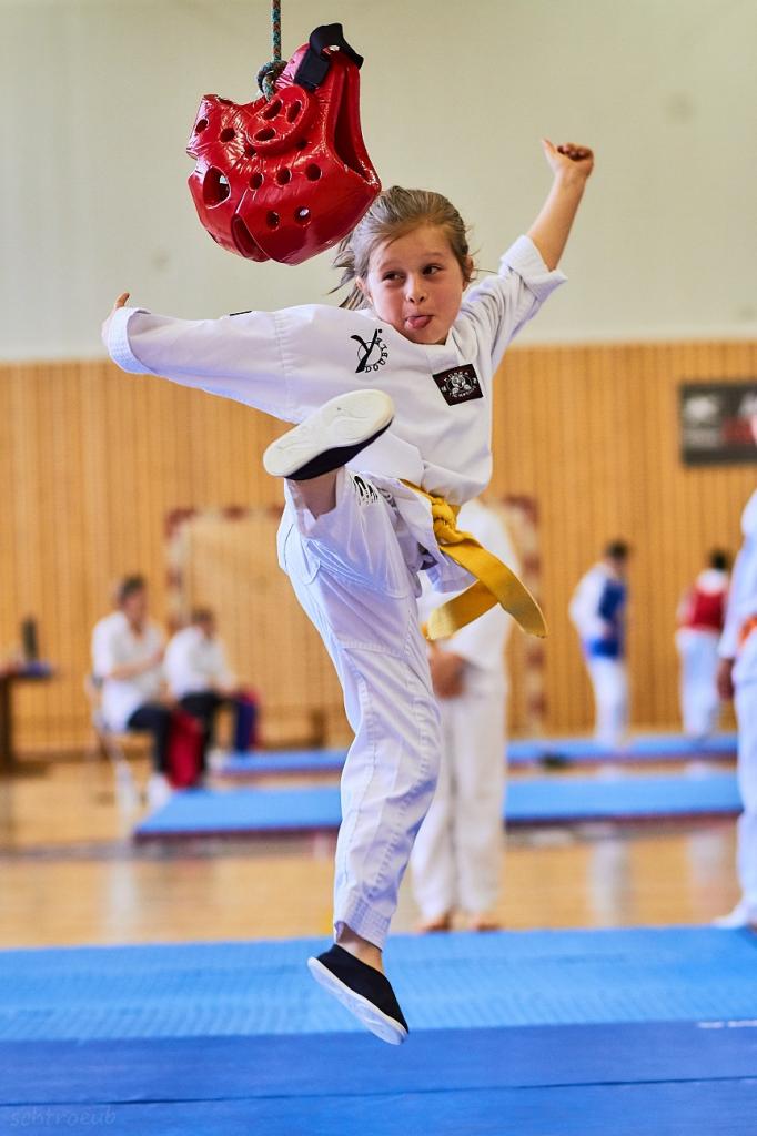 PHOENIX CUP ASPTT STRASBOURG TAEKWONDO (31)