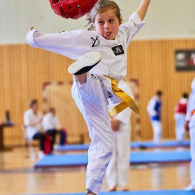 PHOENIX CUP ASPTT STRASBOURG TAEKWONDO (31)