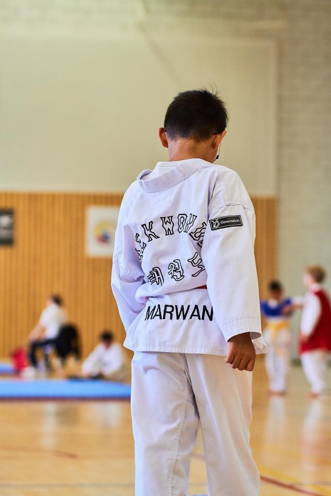 PHOENIX CUP ASPTT STRASBOURG TAEKWONDO (32)