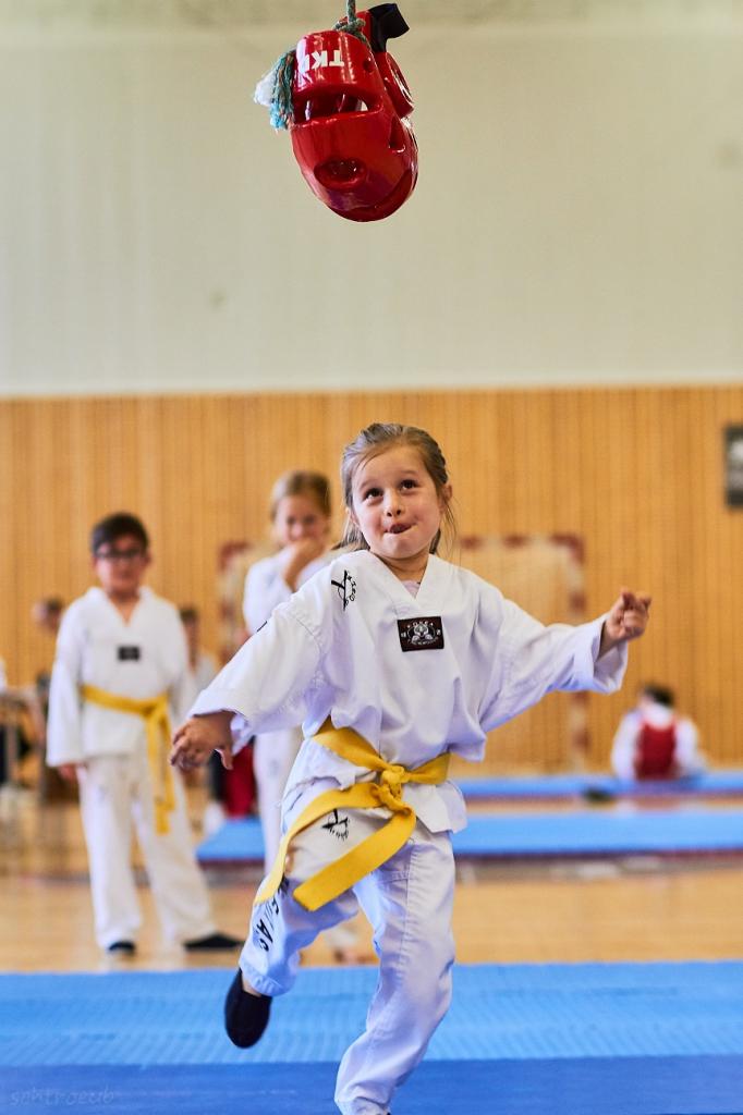 PHOENIX CUP ASPTT STRASBOURG TAEKWONDO (33)