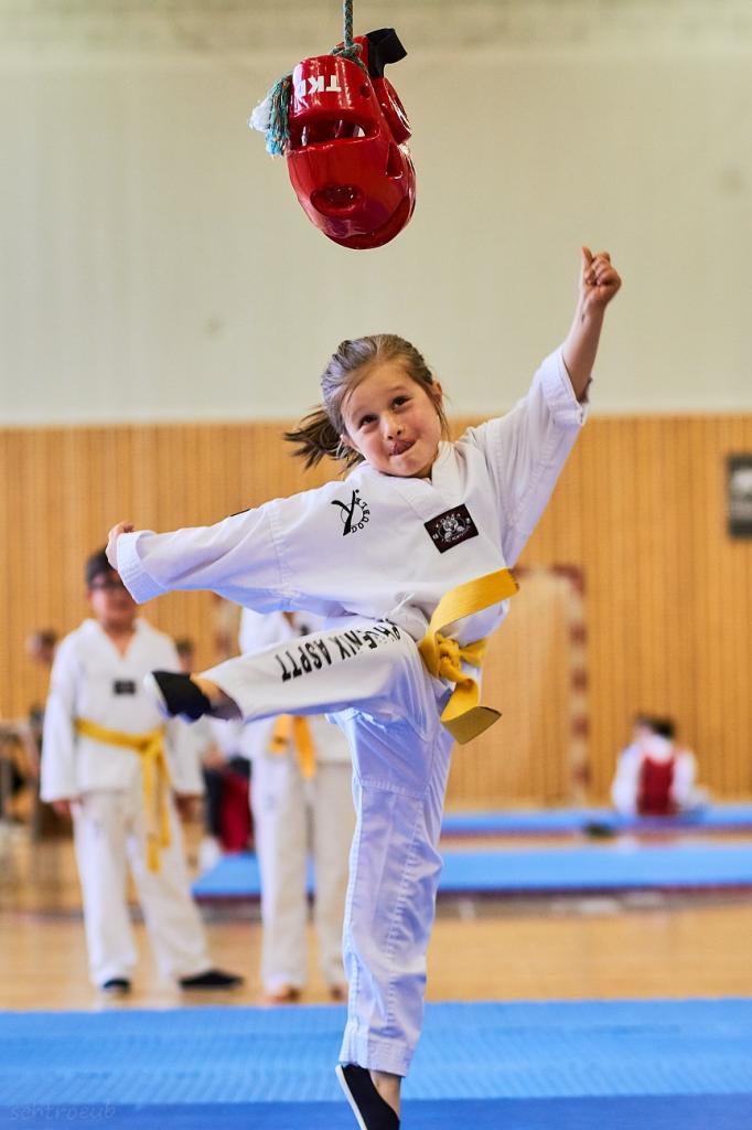 PHOENIX CUP ASPTT STRASBOURG TAEKWONDO (34)