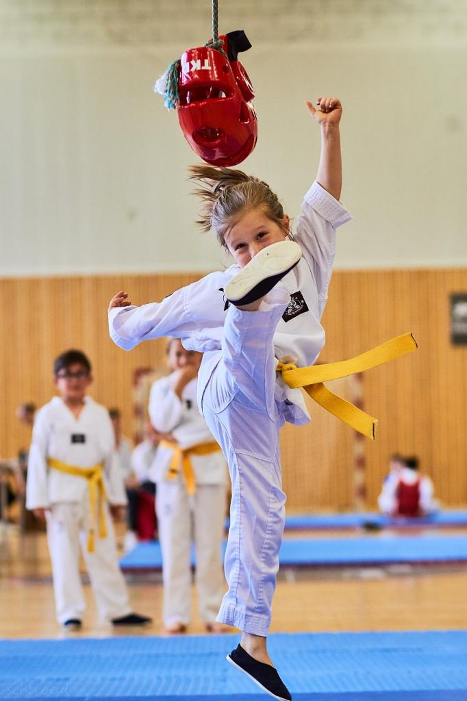 PHOENIX CUP ASPTT STRASBOURG TAEKWONDO (35)