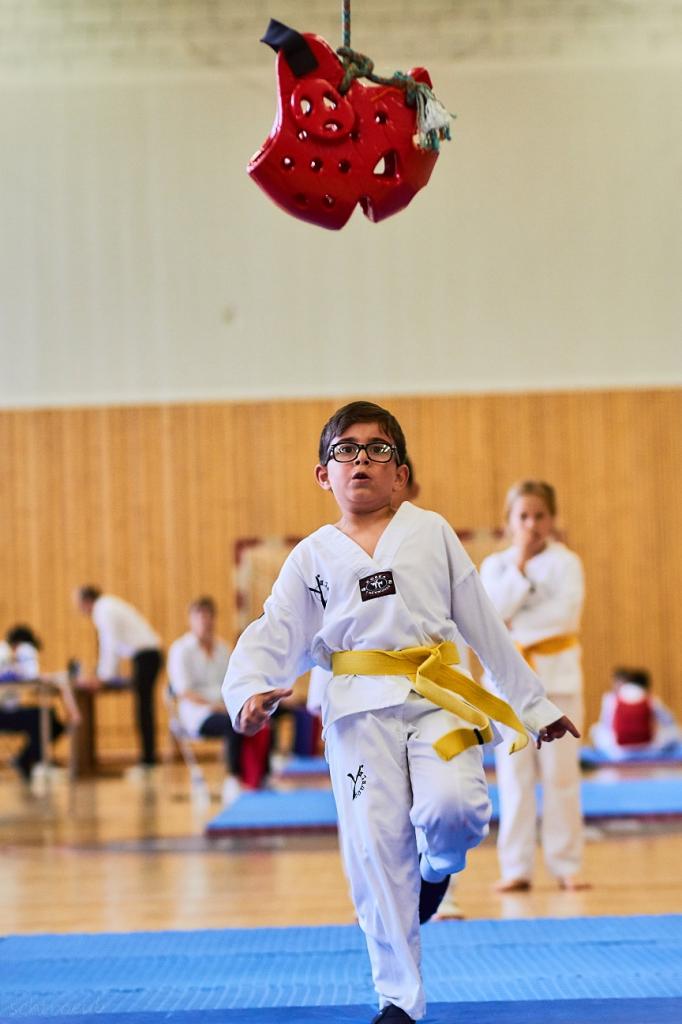 PHOENIX CUP ASPTT STRASBOURG TAEKWONDO (36)