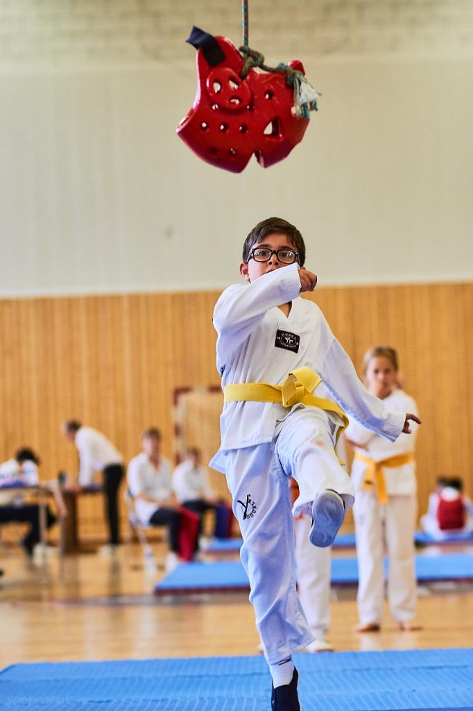 PHOENIX CUP ASPTT STRASBOURG TAEKWONDO (37)