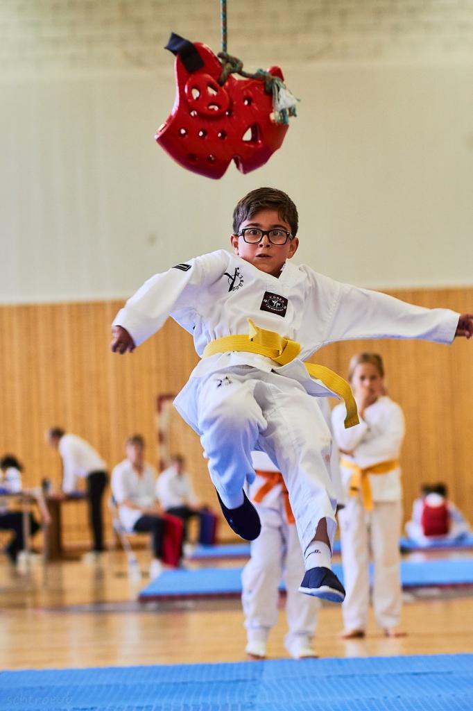 PHOENIX CUP ASPTT STRASBOURG TAEKWONDO (38)