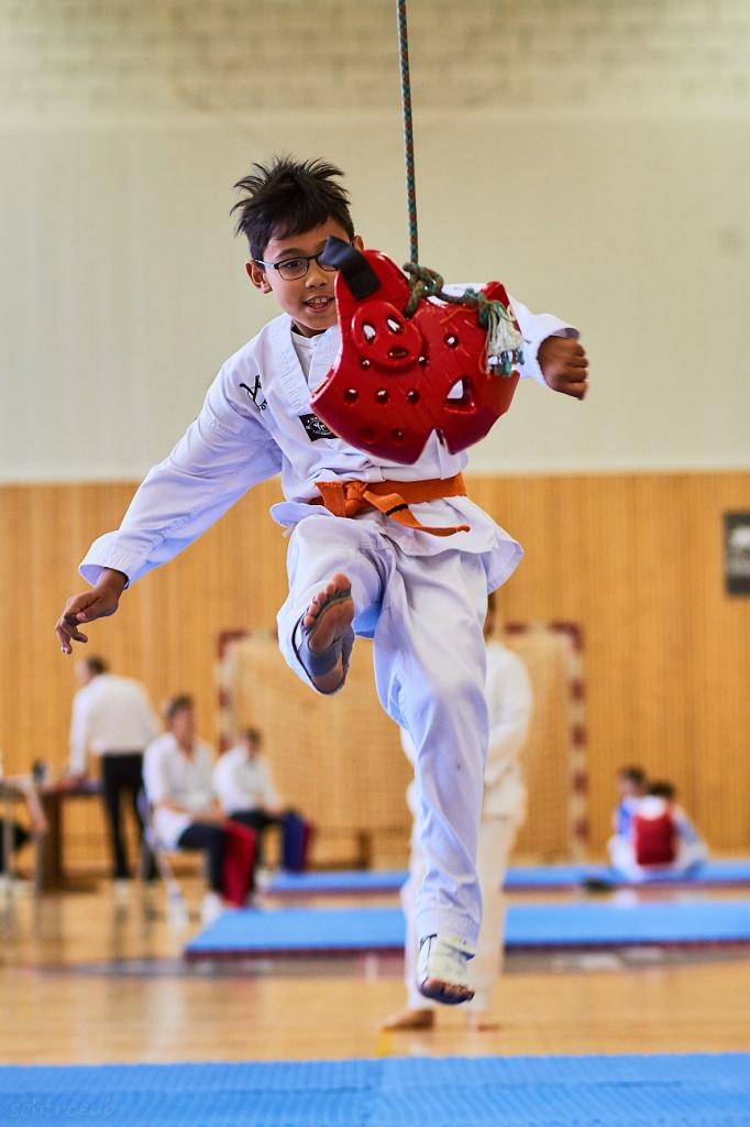 PHOENIX CUP ASPTT STRASBOURG TAEKWONDO (39)