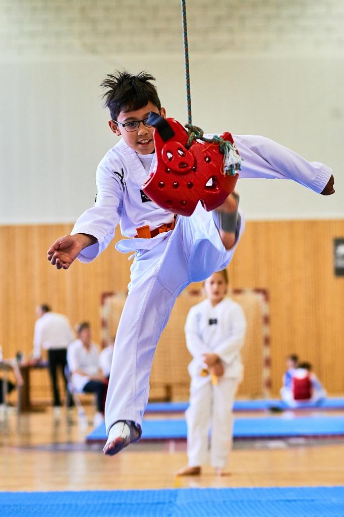 PHOENIX CUP ASPTT STRASBOURG TAEKWONDO (40)