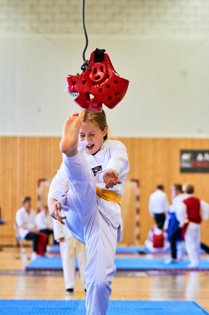 PHOENIX CUP ASPTT STRASBOURG TAEKWONDO (41)