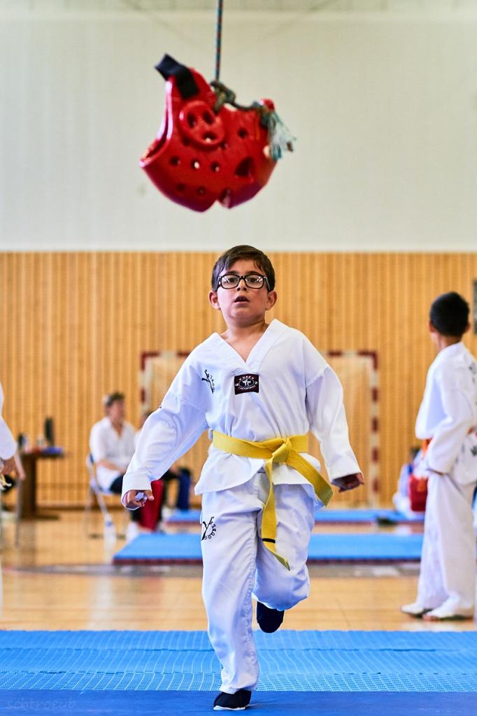 PHOENIX CUP ASPTT STRASBOURG TAEKWONDO (42)