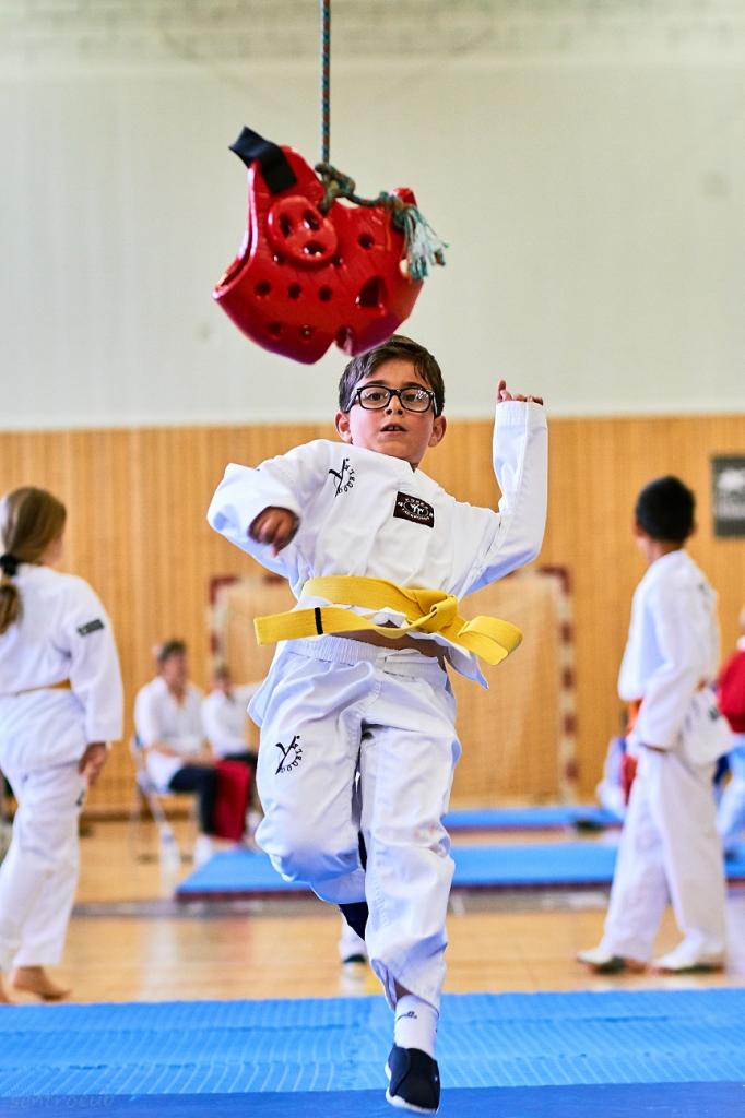 PHOENIX CUP ASPTT STRASBOURG TAEKWONDO (43)