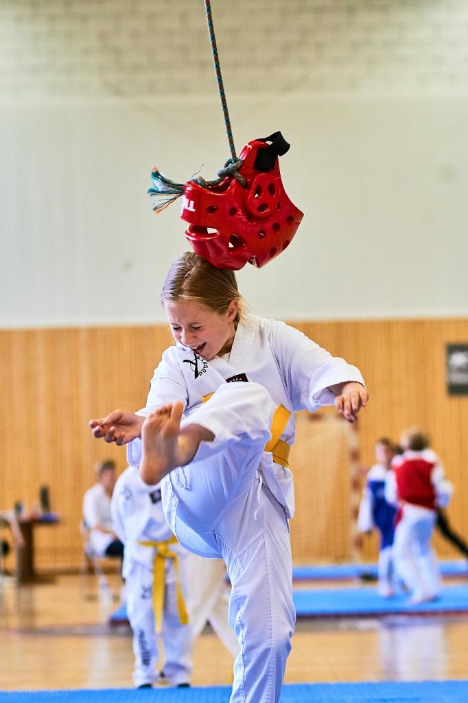 PHOENIX CUP ASPTT STRASBOURG TAEKWONDO (45)