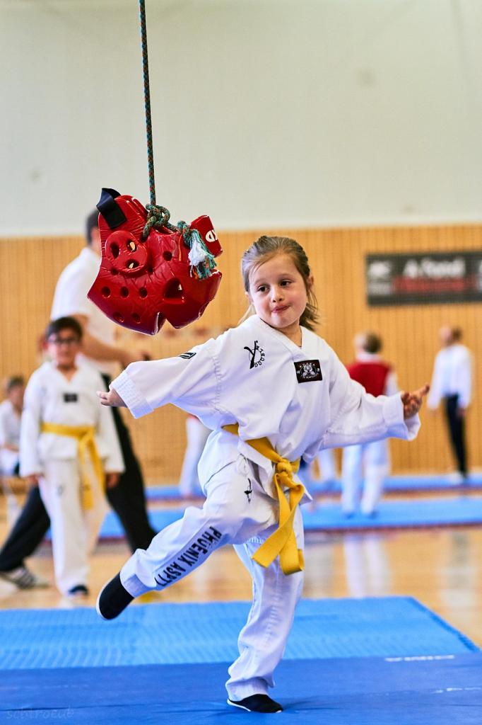 PHOENIX CUP ASPTT STRASBOURG TAEKWONDO (46)