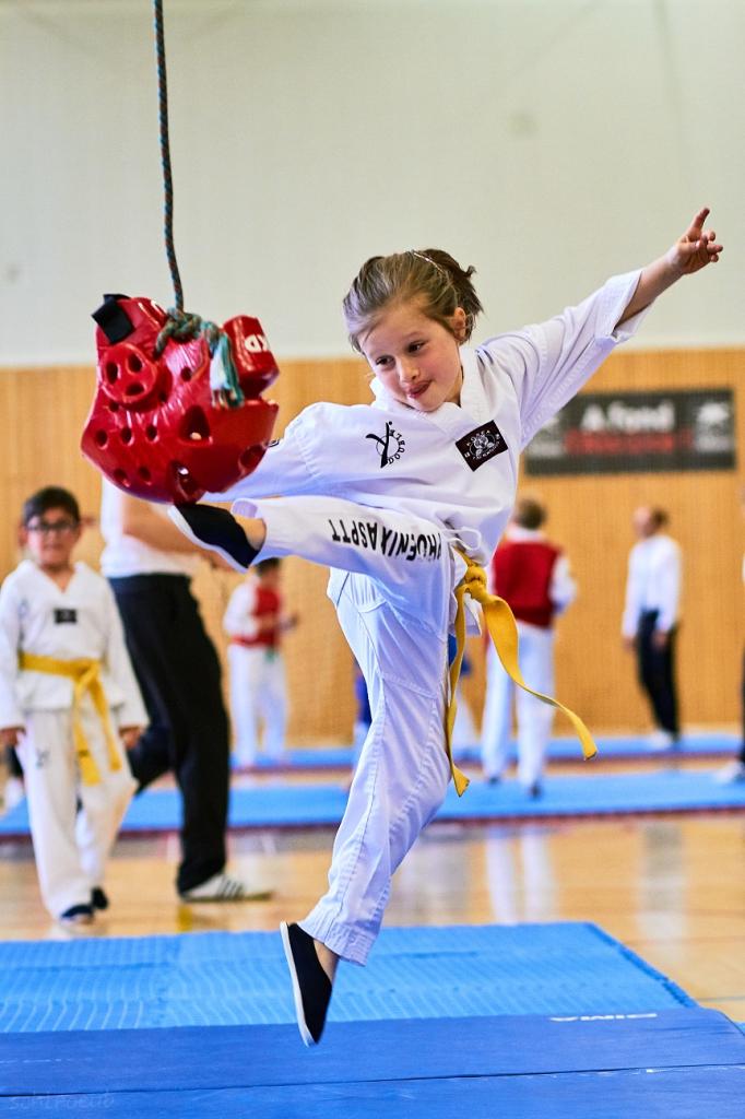 PHOENIX CUP ASPTT STRASBOURG TAEKWONDO (47)