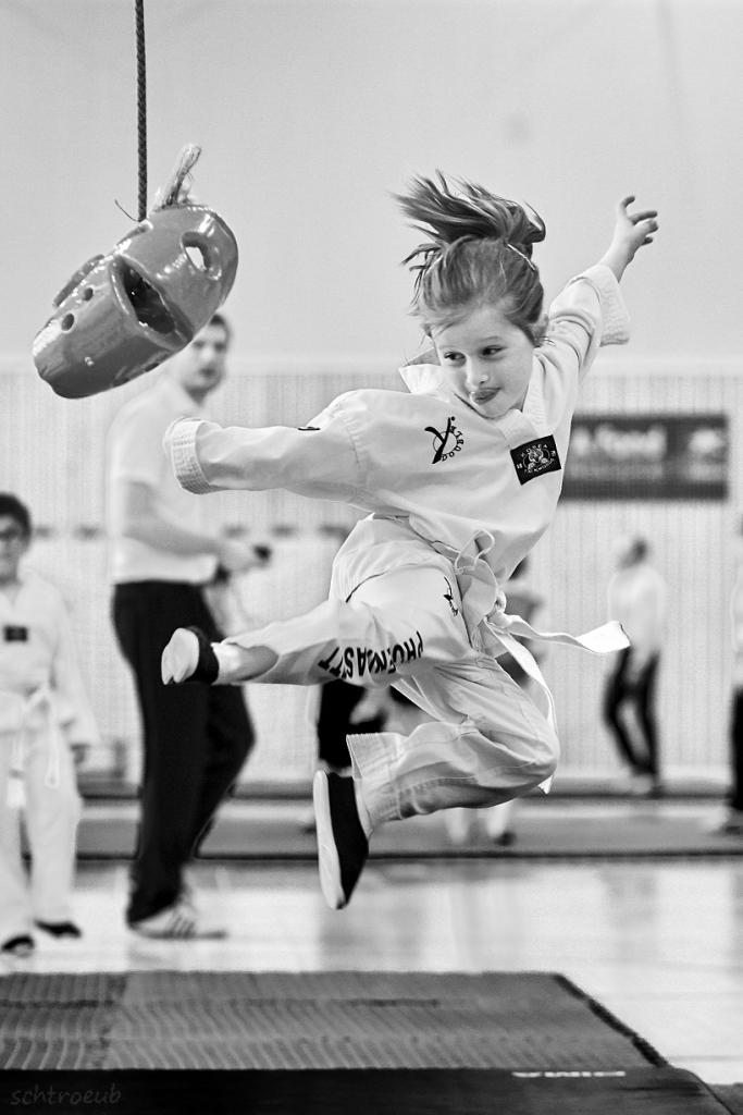 PHOENIX CUP ASPTT STRASBOURG TAEKWONDO (48)