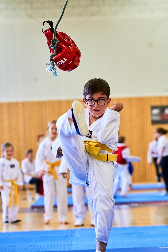 PHOENIX CUP ASPTT STRASBOURG TAEKWONDO (49)