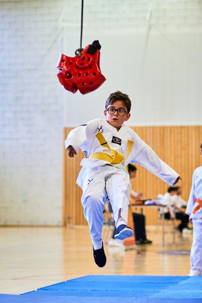 PHOENIX CUP ASPTT STRASBOURG TAEKWONDO (50)