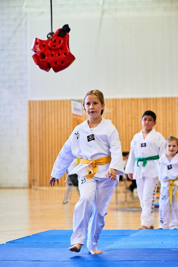 PHOENIX CUP ASPTT STRASBOURG TAEKWONDO (51)