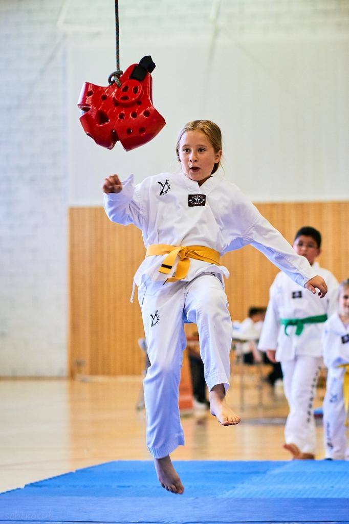 PHOENIX CUP ASPTT STRASBOURG TAEKWONDO (52)