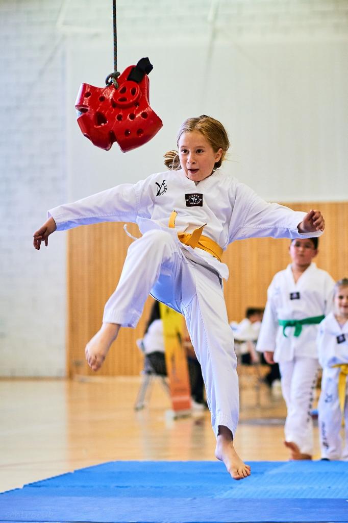 PHOENIX CUP ASPTT STRASBOURG TAEKWONDO (53)