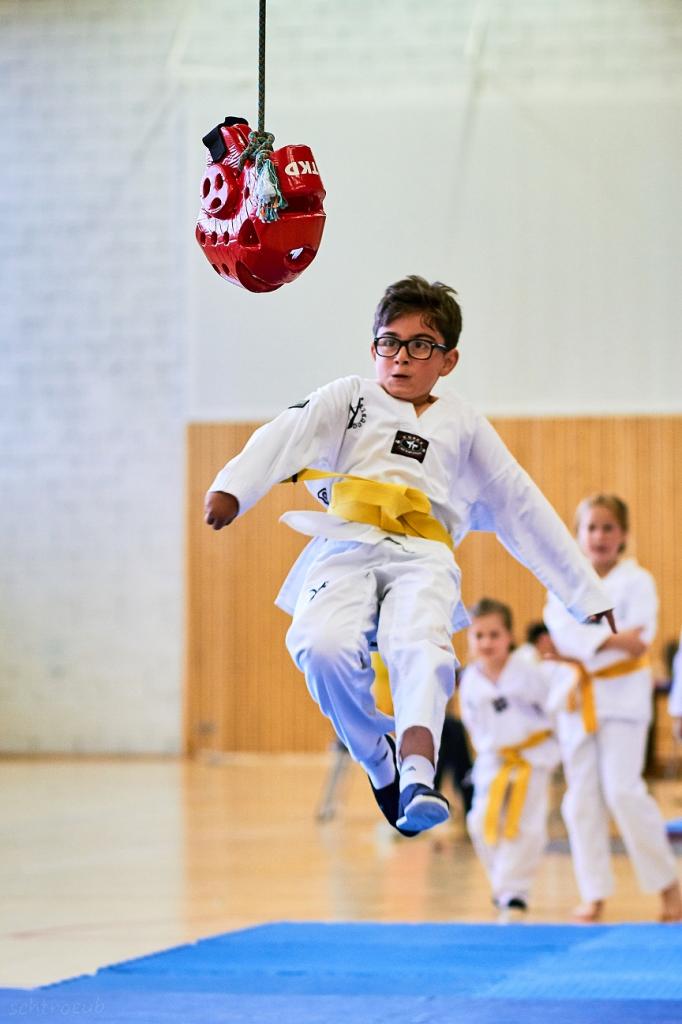 PHOENIX CUP ASPTT STRASBOURG TAEKWONDO (55)