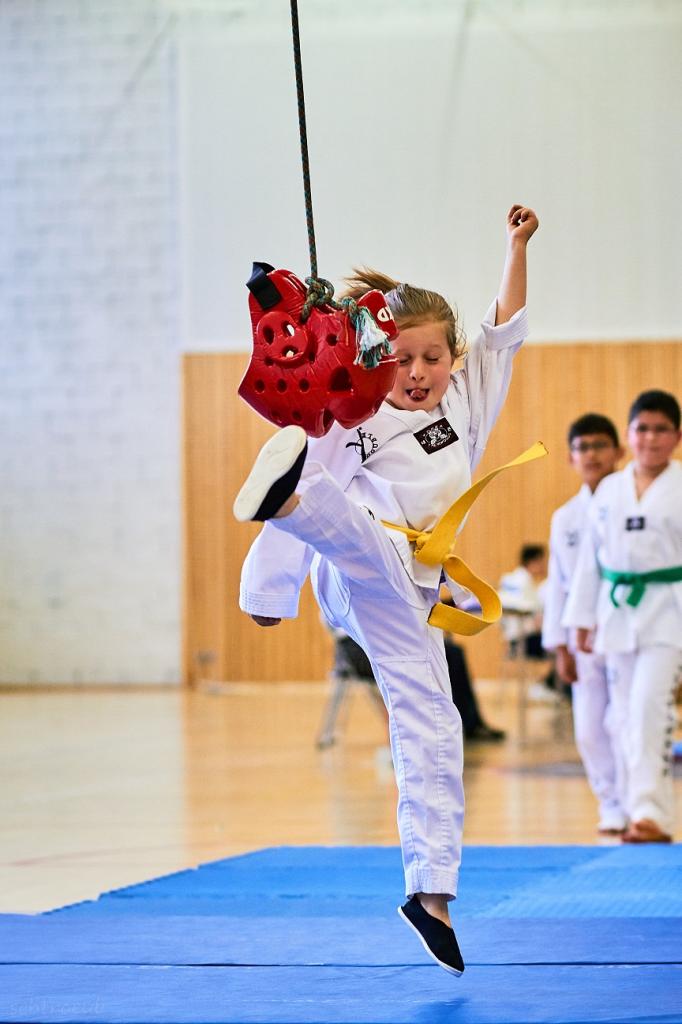 PHOENIX CUP ASPTT STRASBOURG TAEKWONDO (58)