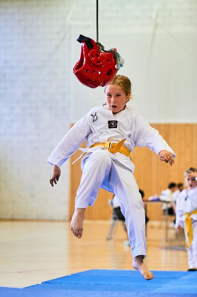 PHOENIX CUP ASPTT STRASBOURG TAEKWONDO (60)