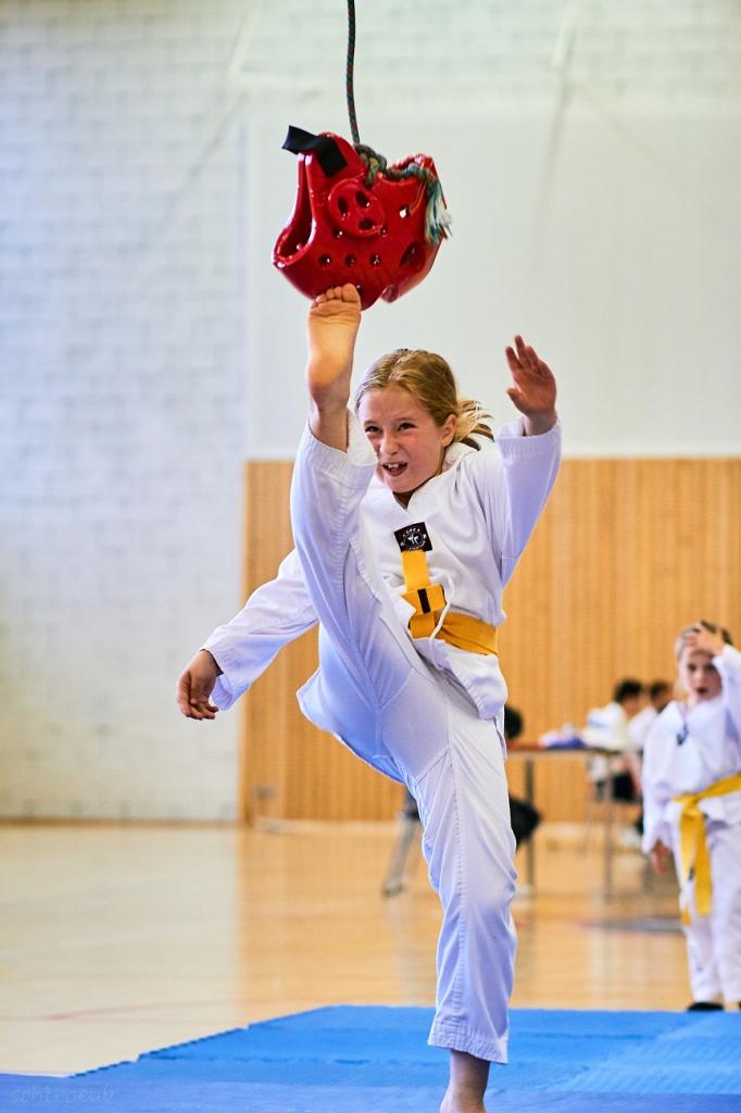 PHOENIX CUP ASPTT STRASBOURG TAEKWONDO (61)