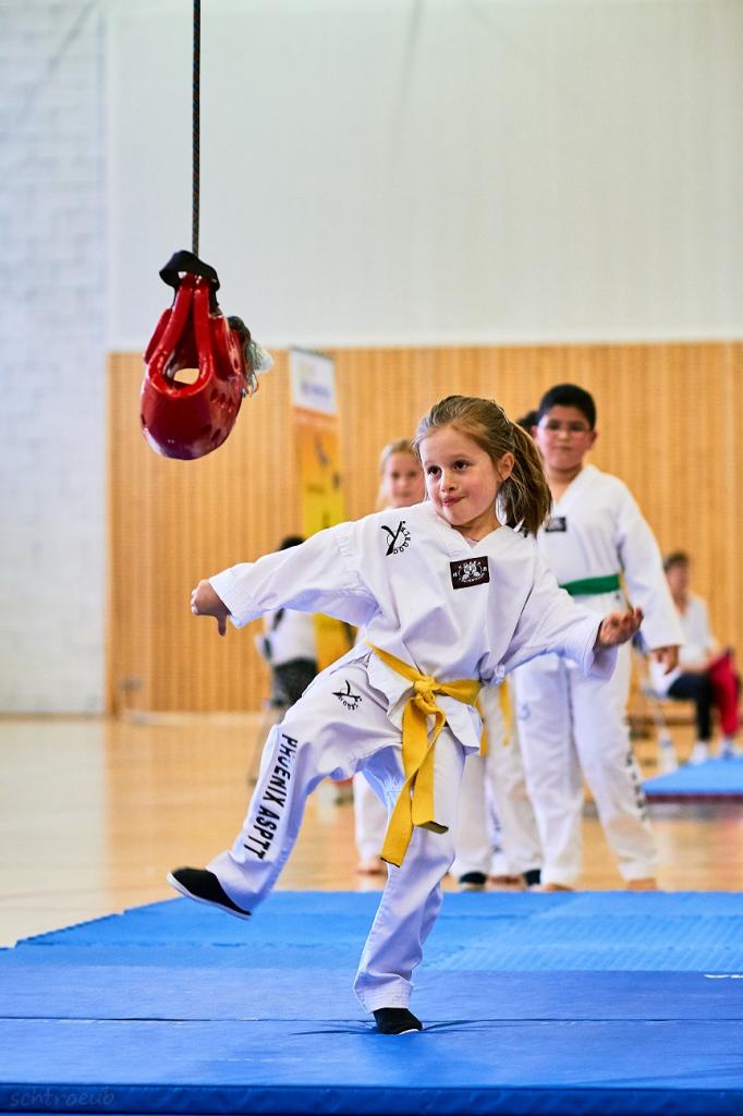 PHOENIX CUP ASPTT STRASBOURG TAEKWONDO (62)